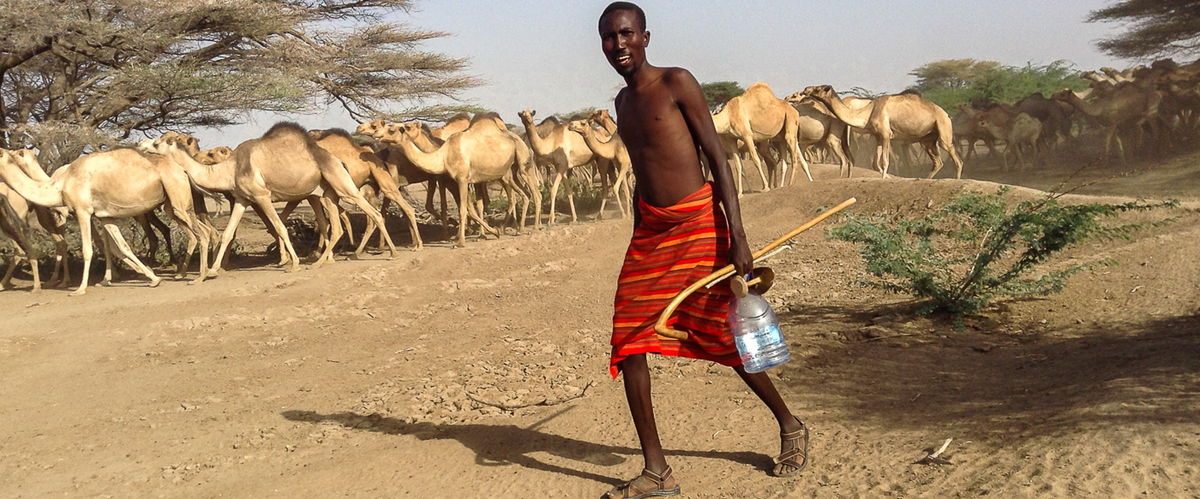 Camel safari from Laikipia to Samburu