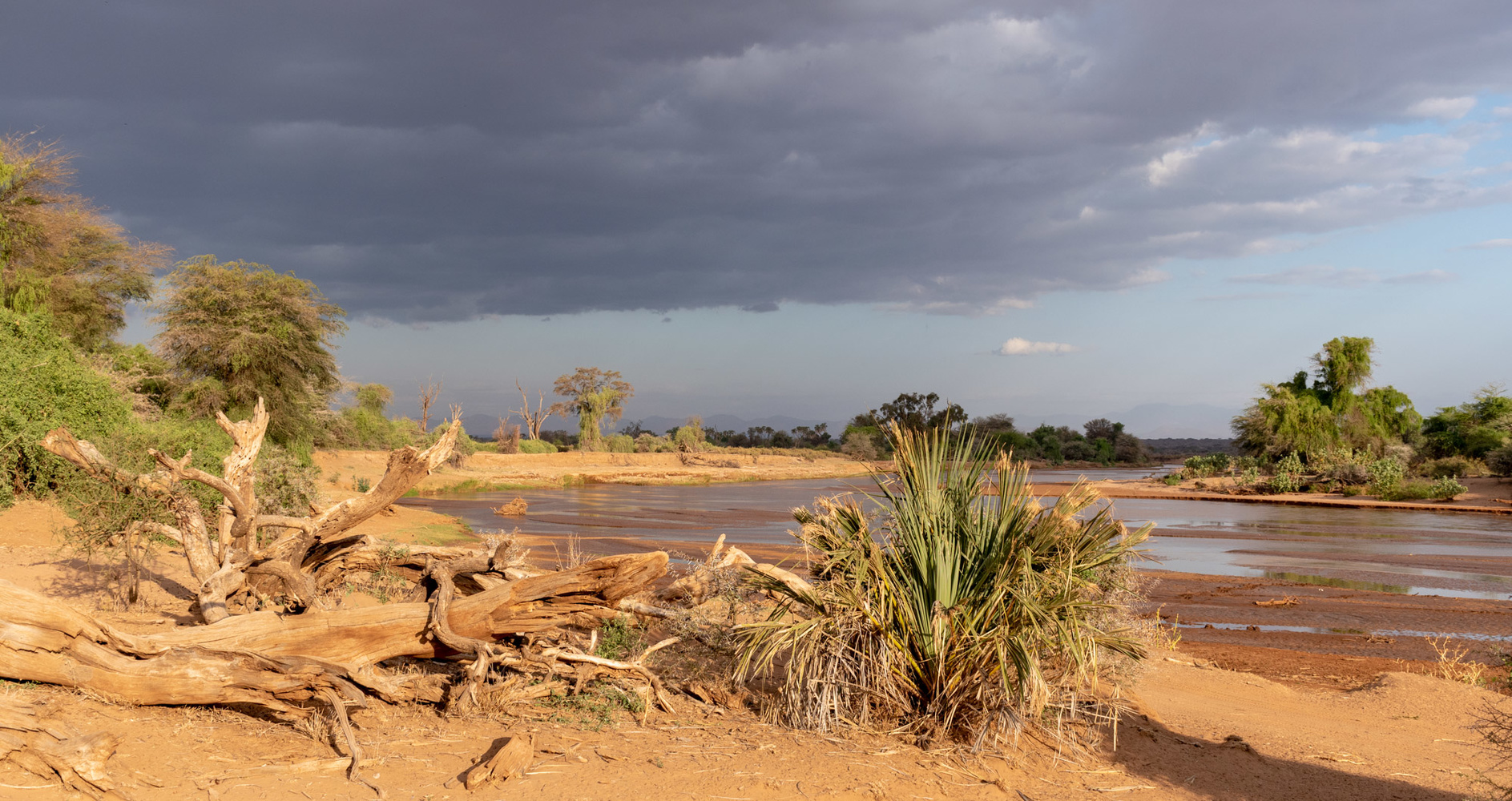 Our safaris in Kenya