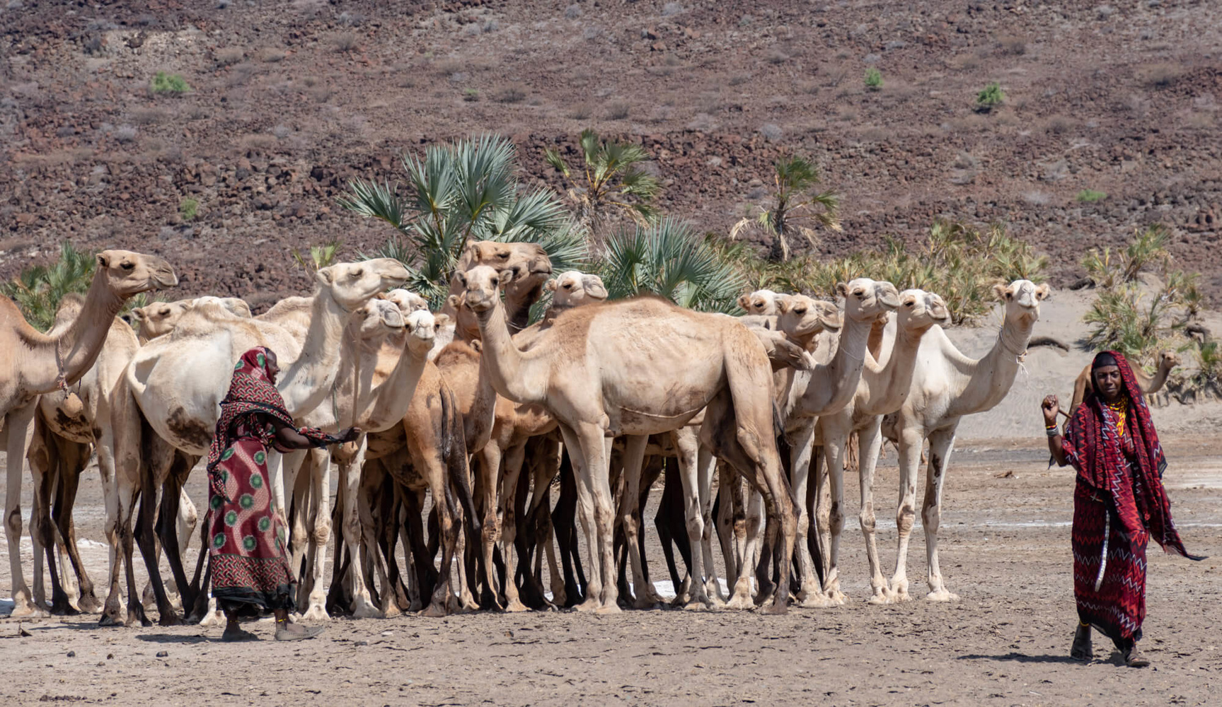 Turkana Adventure