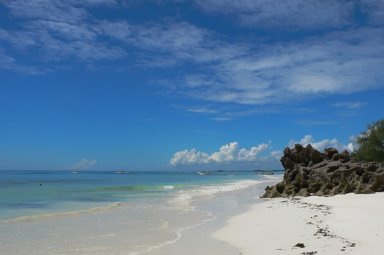 Beach at Zanzibar