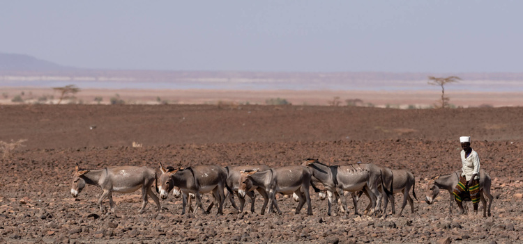 Mirages in the Chalbi desert ©Jade Sea Journeys